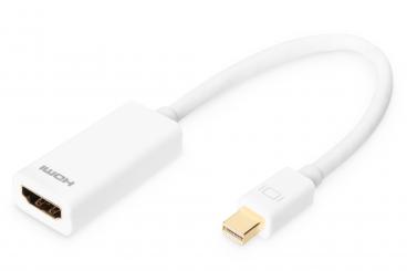 DisplayPort Adapter / Konverter 