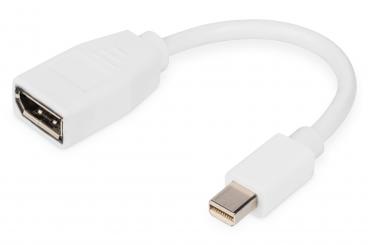 DisplayPort Adapterkabel, mini DP - DP 