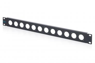 1U rack panel for 12 x D-Type modules 