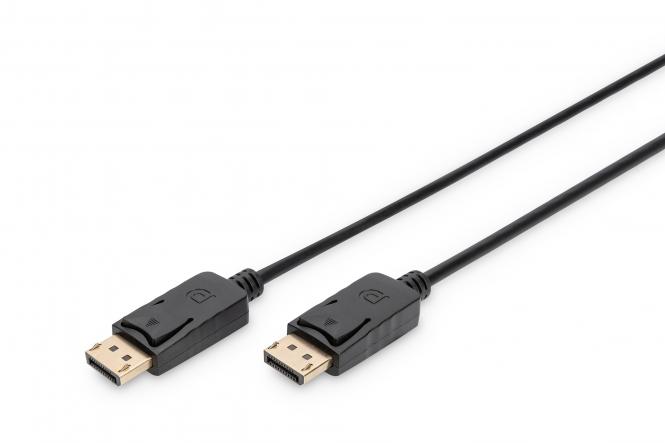 DisplayPort Connection Cable, 1m 