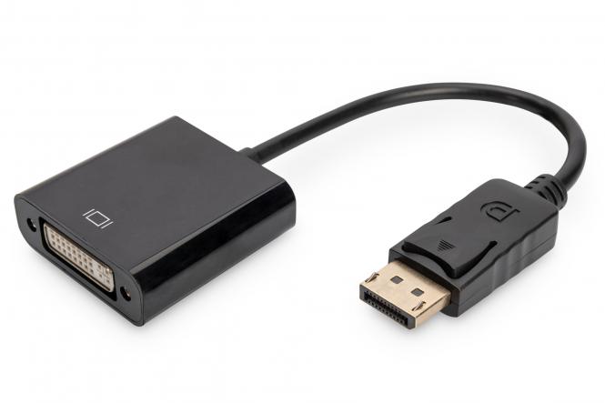 Câble d'adaptateur DisplayPort - DVI 