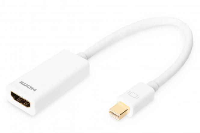 DisplayPort Adapter Cable - Mini DP to HDMI Type A 