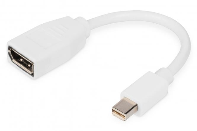 DisplayPort adapter cable, mini DP - DP 