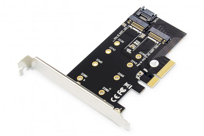 Scheda add-on M.2 NGFF / NVMe SSD PCI Express 3.0 (da 4) 
