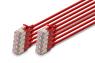 morepic-9