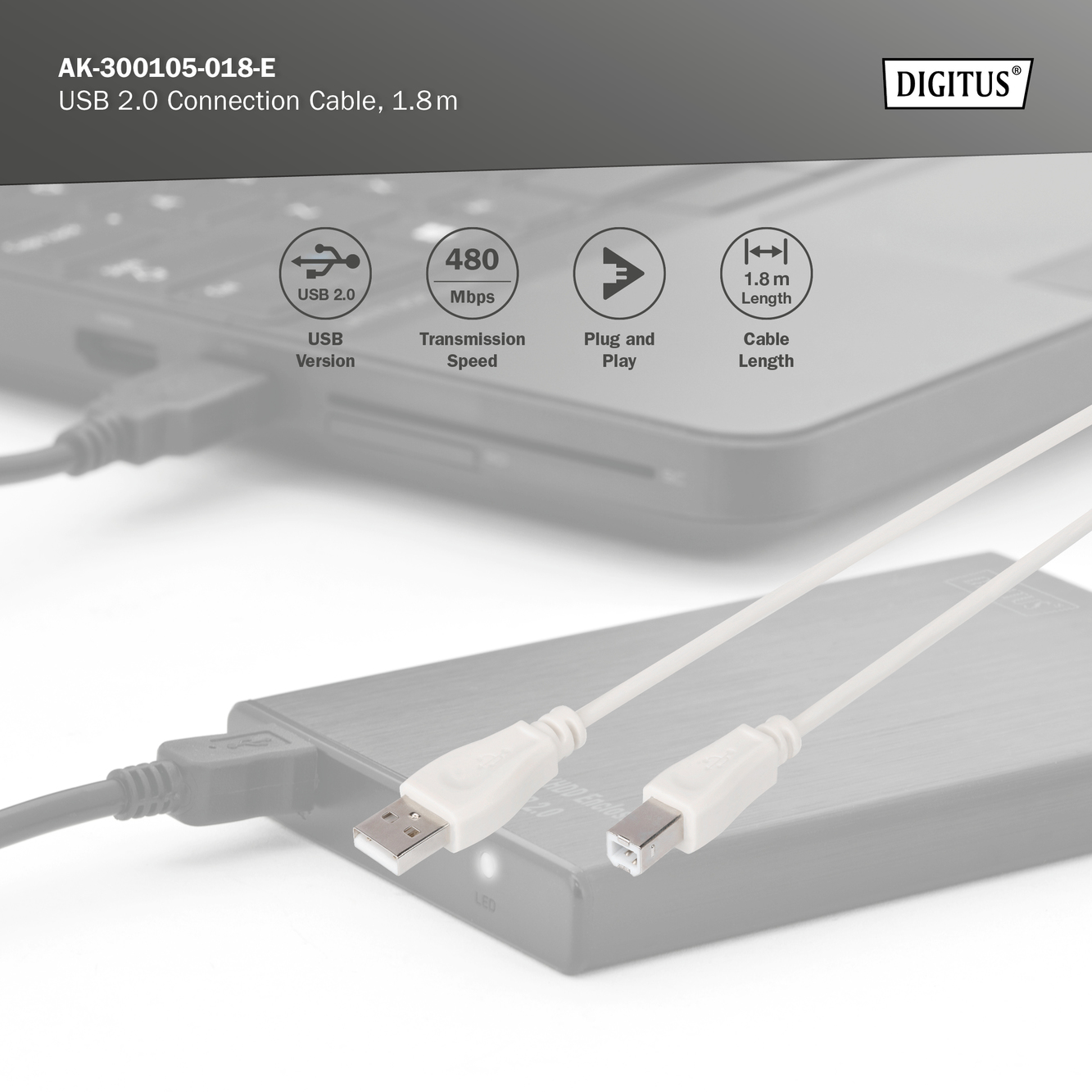 DIGITUS by ASSMANN Shop | USB-A - USB-B connection cable, 1.8m